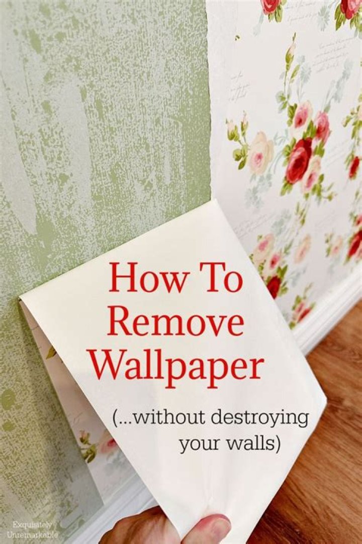 5 Tips to Remove the Wallpaper Backing Easy to Do it
