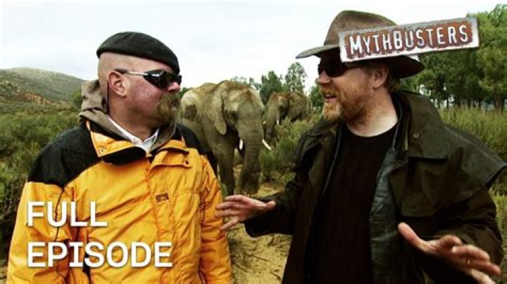 Are elephants really scared of mice Mythbusters?