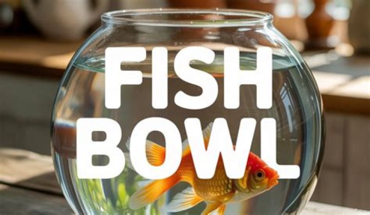Are fish bowls good for fish?