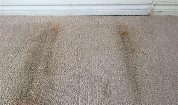 Are old carpets toxic?