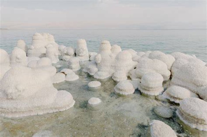 Are there trees around the Dead Sea?