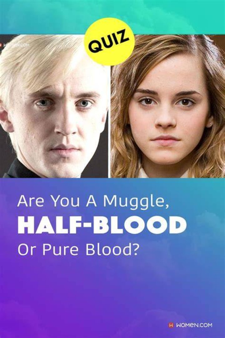 Are You a pure blood, half-blood or Muggle?