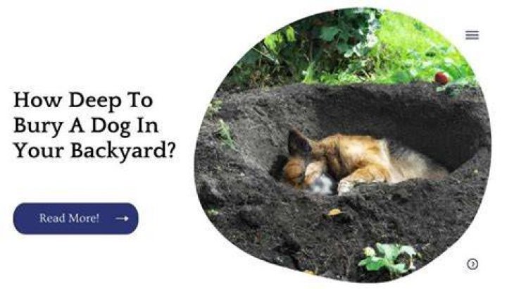 Are you allowed to bury your dog in your garden?