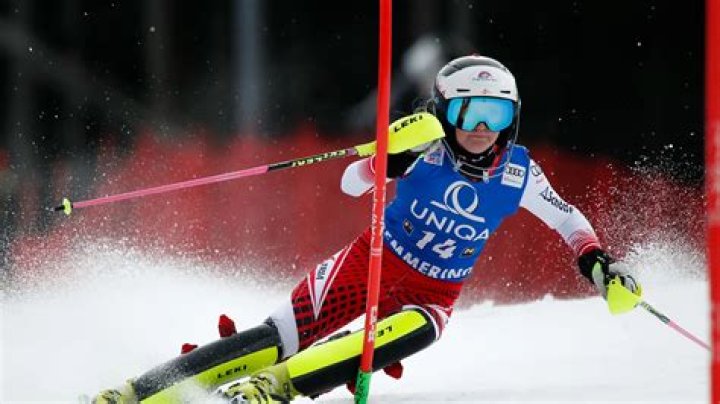 Are you supposed to hit the flags in Alpine skiing?