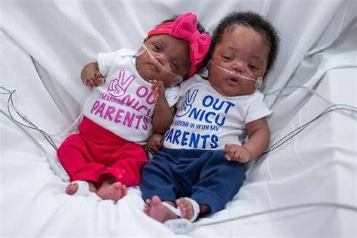 At what week can twins survive?