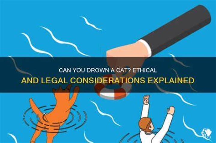 Can a cat drown?