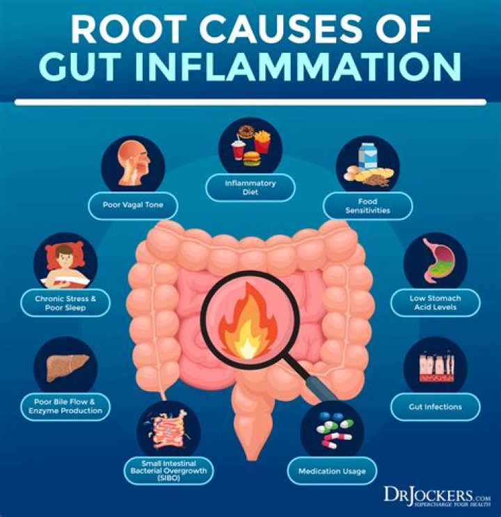 Can anxiety cause inflammation in the gut?