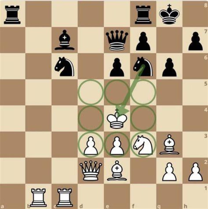 Can any chess piece capture the king?