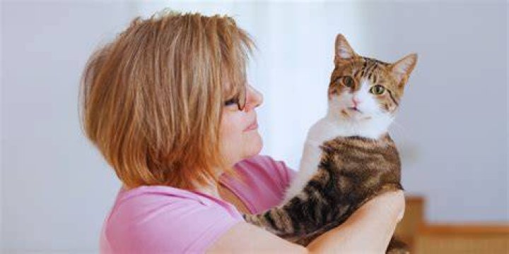 Can cats be your soulmate?
