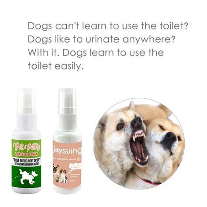 Can dogs use the toilet?