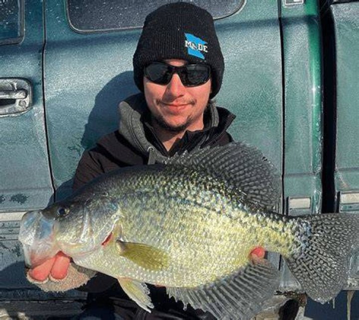 Can fish bite you?