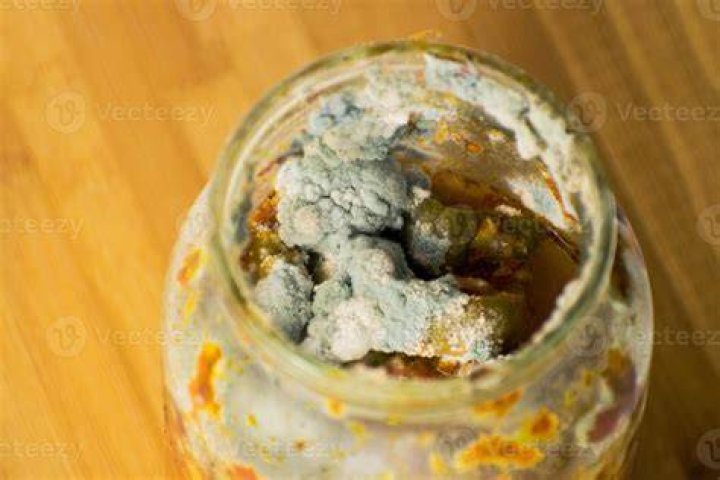 Can food mold spread?