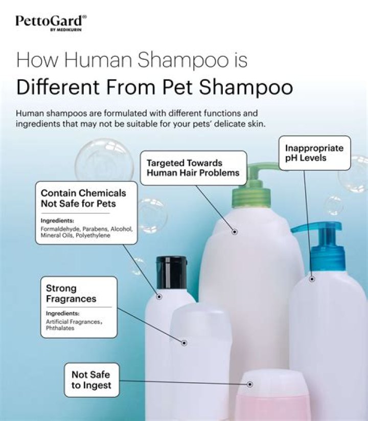 Can human shampoo be used on dogs?