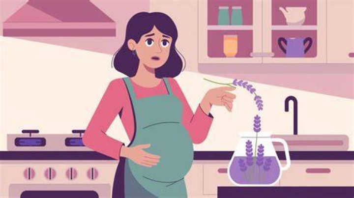 Can I drink lavender tea while pregnant?