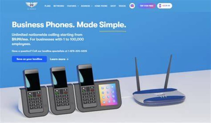 Can I just have a landline without internet?