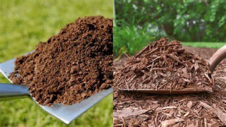 Can I mix mulch with potting soil?