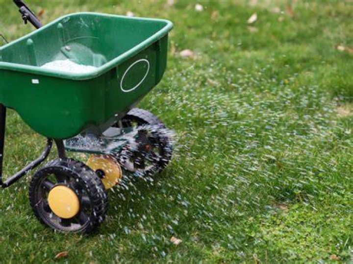 Can I put fertilizer on brown grass?