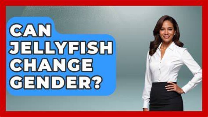 Can jellyfish change gender?