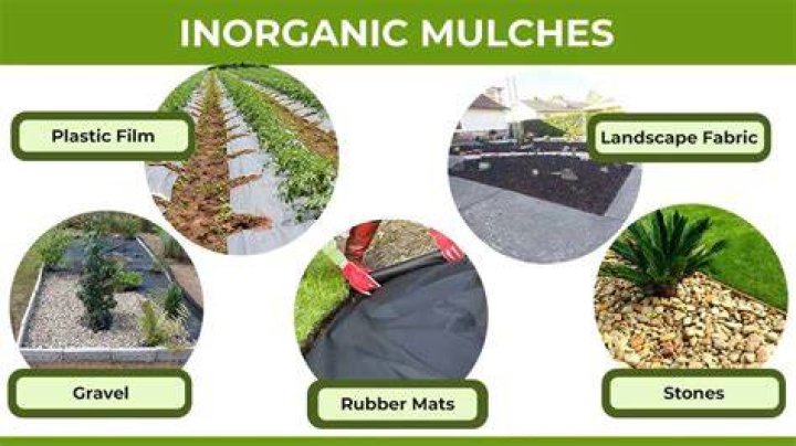 Can magazines be used as mulch?