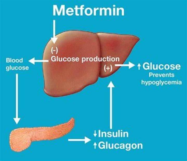 Can metformin raise blood sugar?