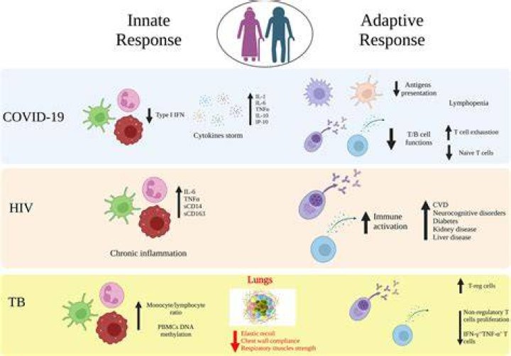Can people be immune to COVID?