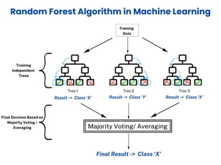 Can random forest giving 100 accuracy?