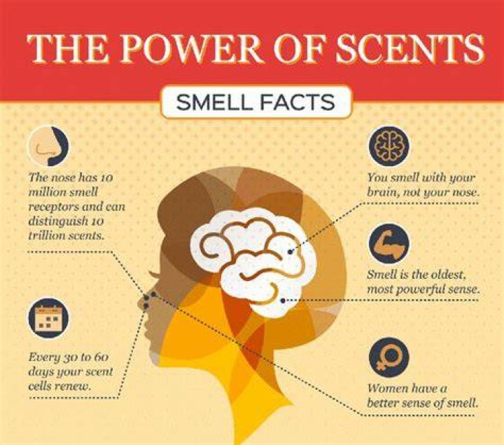 Can smells be beautiful?