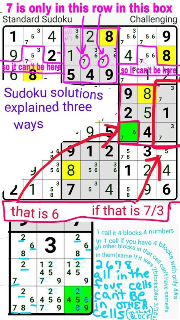 Can Sudoku puzzles have more than one solution?