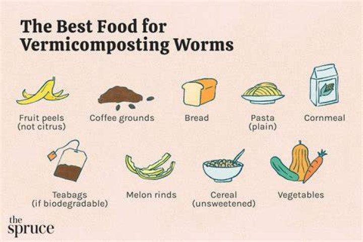 Can worms eat pickles?