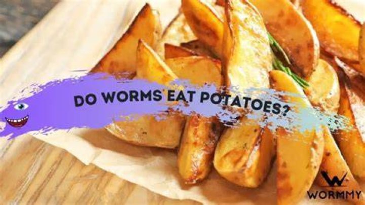 Can worms eat sweet potato peels?