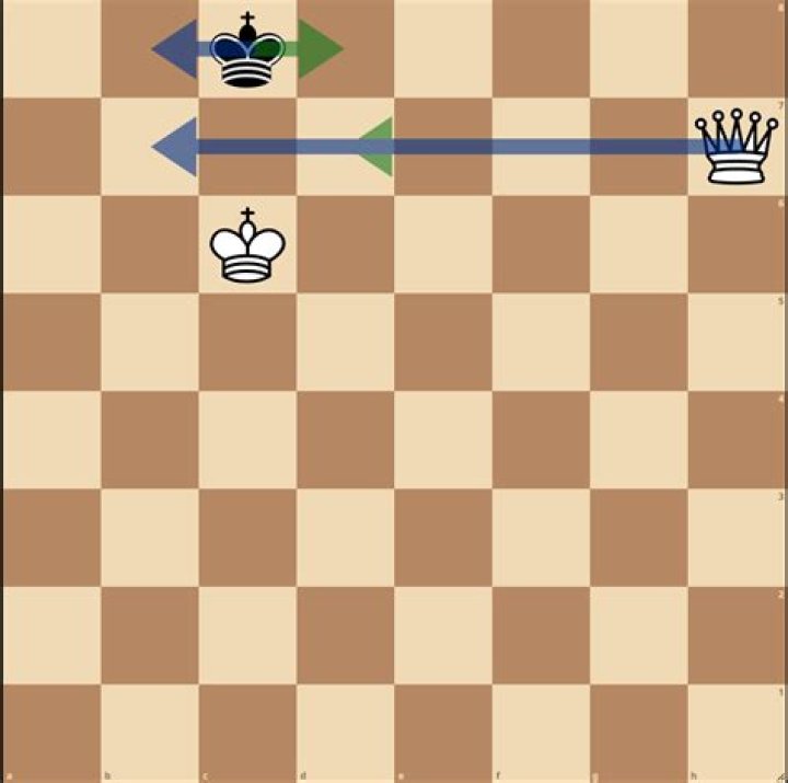 Can you checkmate with a king move?