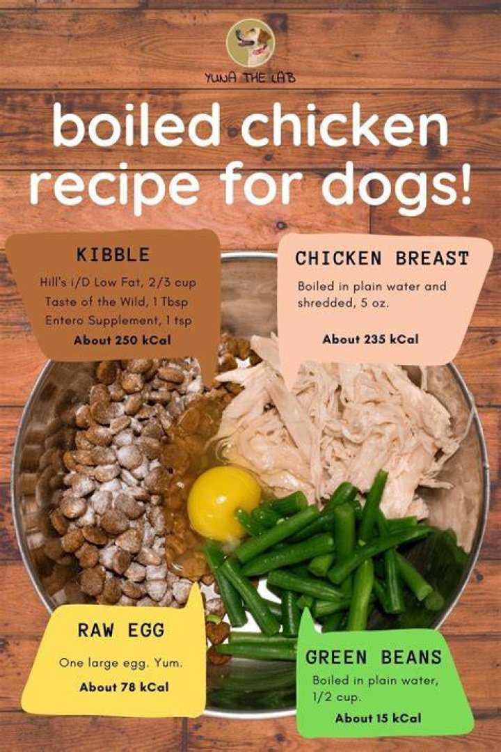 Can you cook chicken for dogs?