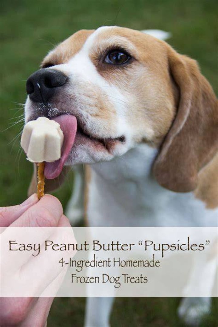Can you freeze peanut butter for dogs?