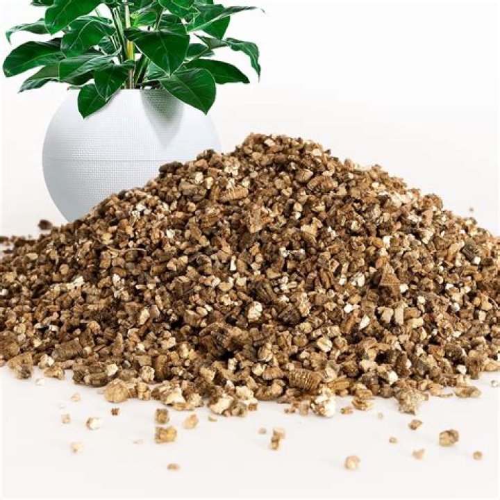 Can you grow plants in only vermiculite?