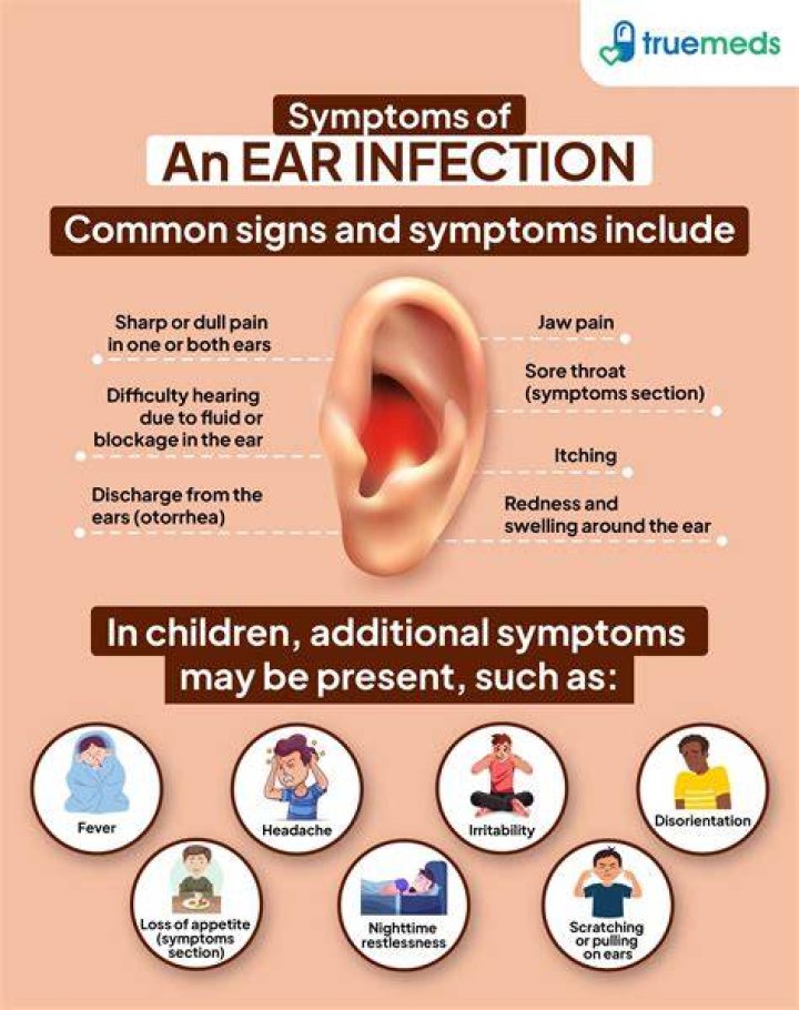 Can you have a bacterial ear infection without a fever?