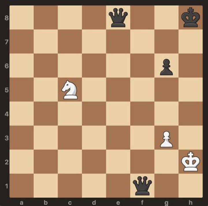 Can you have two queens in check?