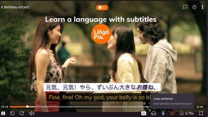 Can you learn a language by only watching movies?