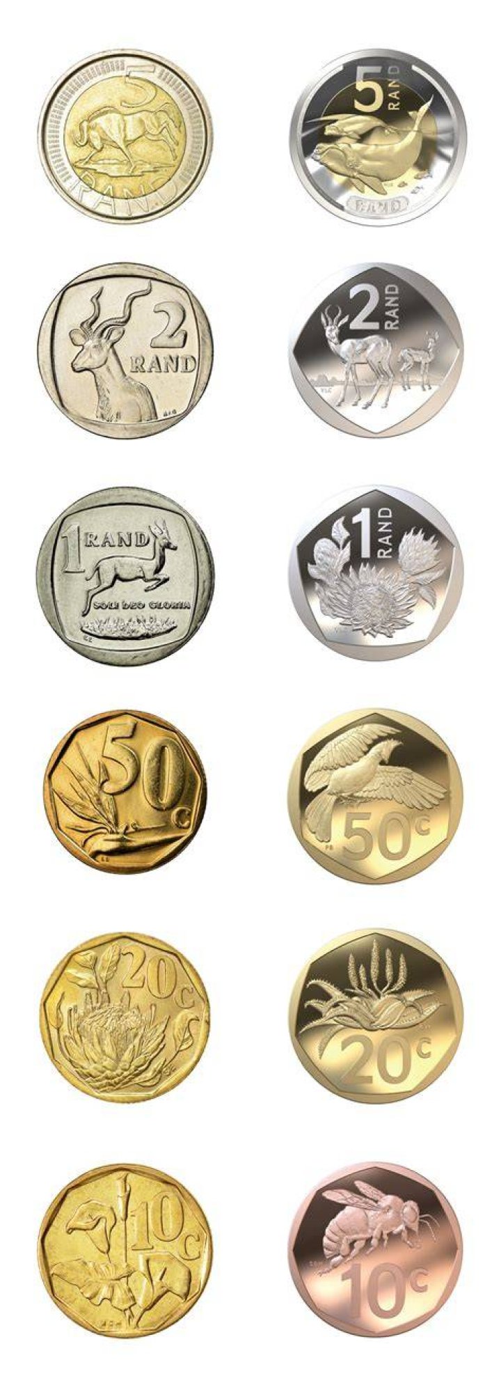 Can you make two piles of 10 coins?