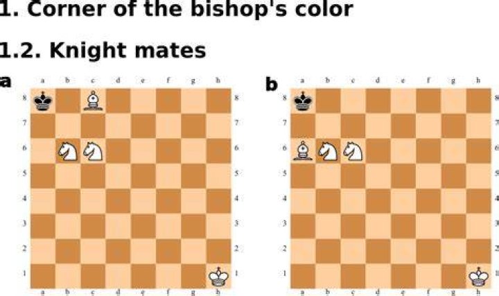 Can you mate with two knights and a bishop?