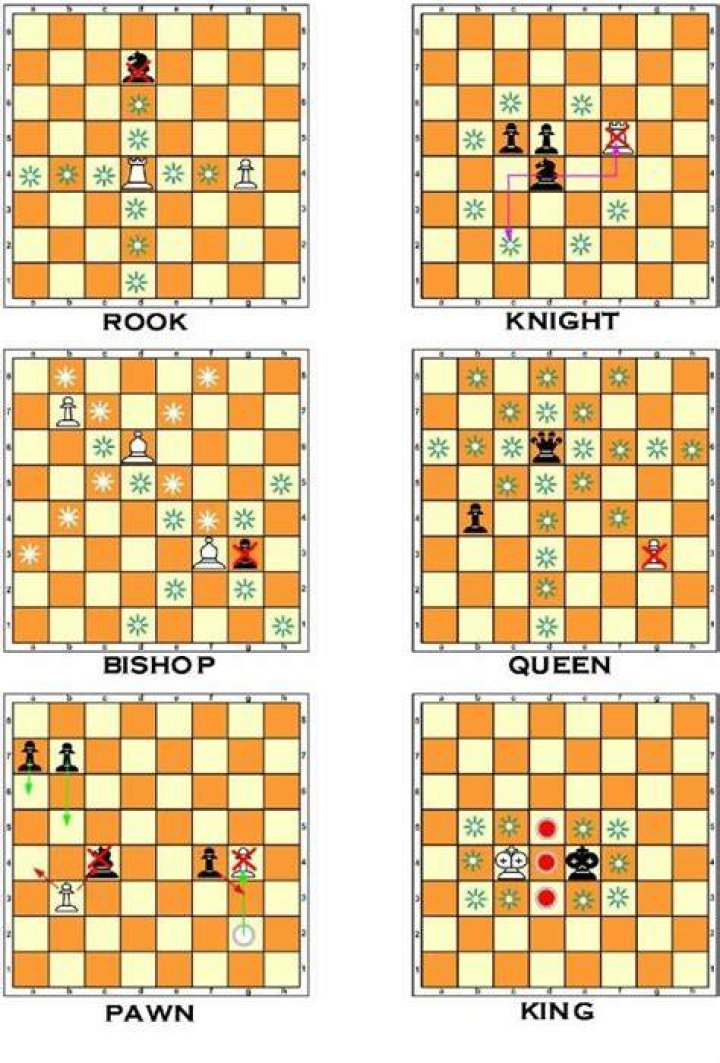 Can you memorize all the moves in chess?