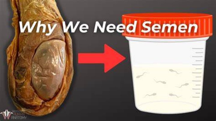Can you pee out sperm?