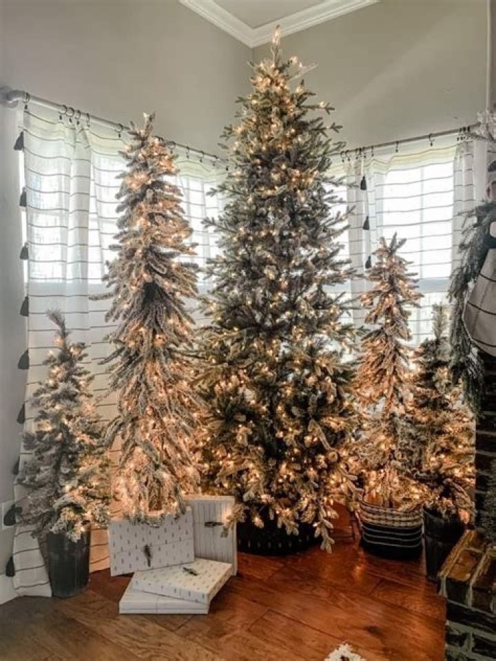 Can you put 2 Christmas trees together?