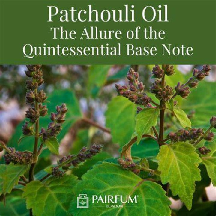 Can you put patchouli oil in bath water?
