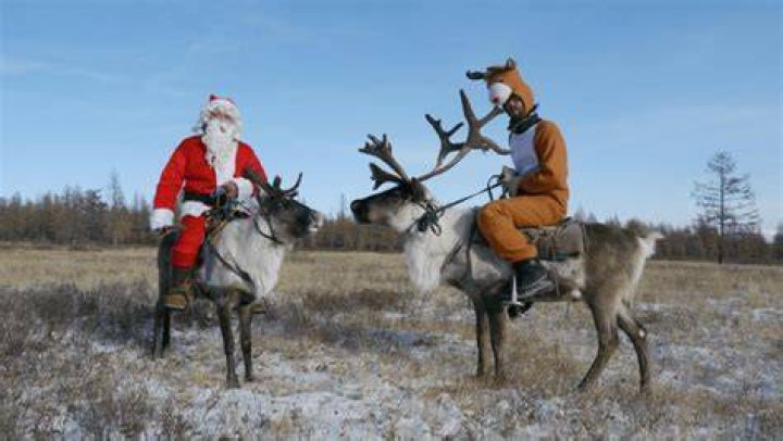 Can you ride a reindeer?
