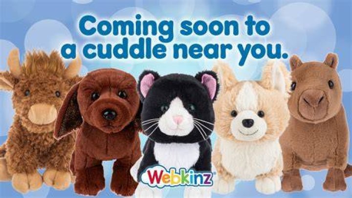 Can you sell items in Webkinz?