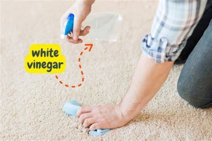 Can you spray straight vinegar on carpet?