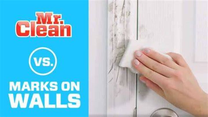 Can you use Mr clean Magic Eraser on flat painted walls?