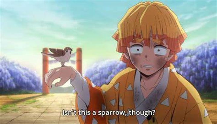 Can Zenitsu's Sparrow talk?