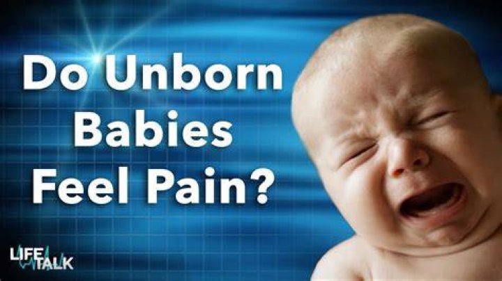 Do babies feel sad?