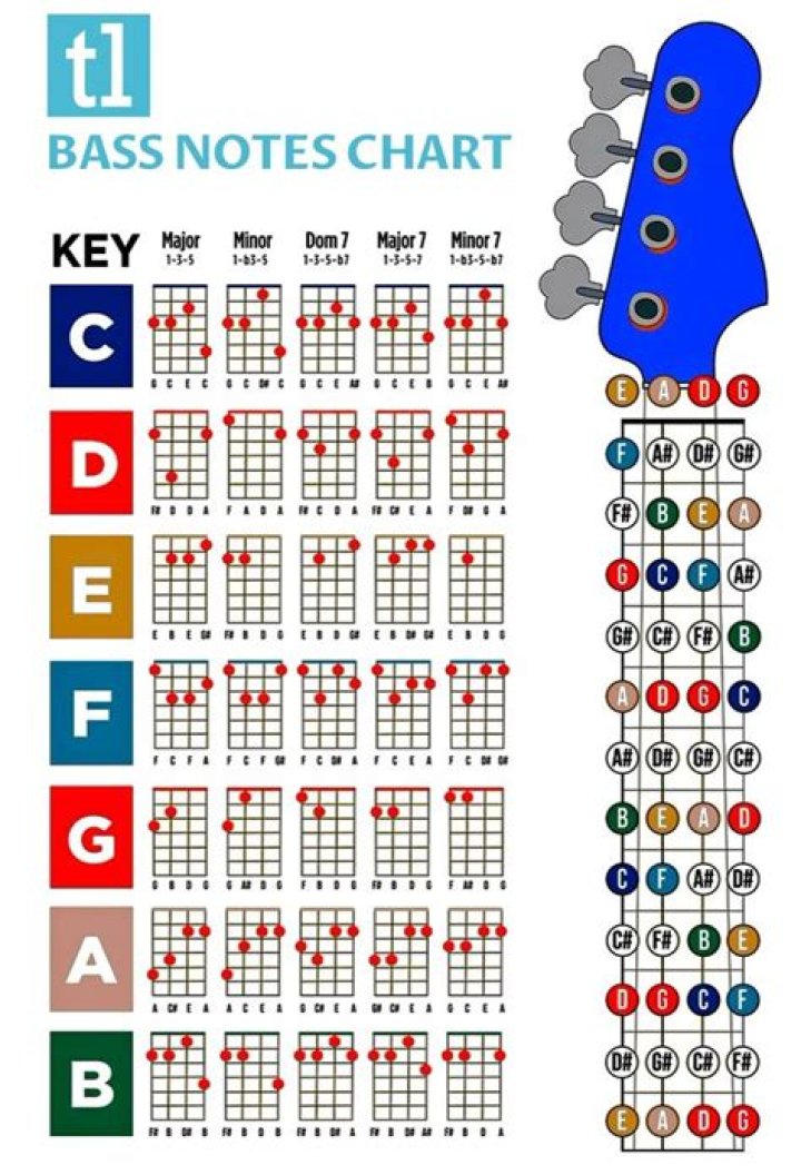 Do bassists play chords?